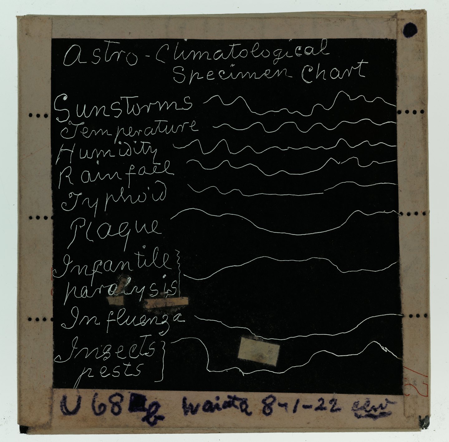 Gráfico de especímenes astro-climatológicos vintage que muestra datos ambientales y tendencias de enfermedades.