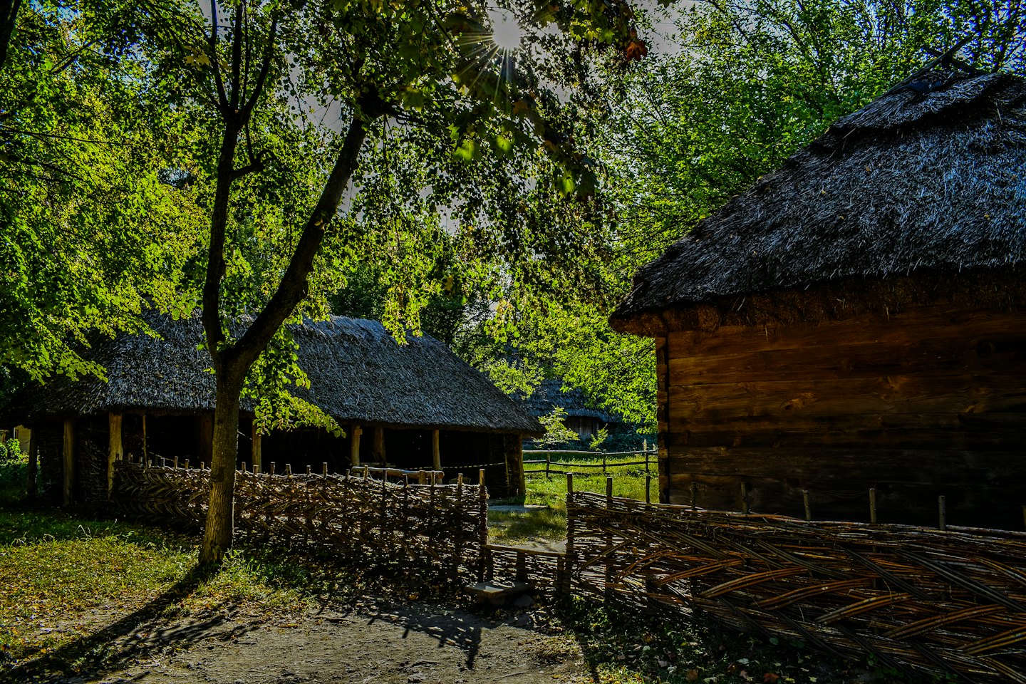 Cabañas de madera con techo de paja y árboles verdes bajo un cielo soleado.